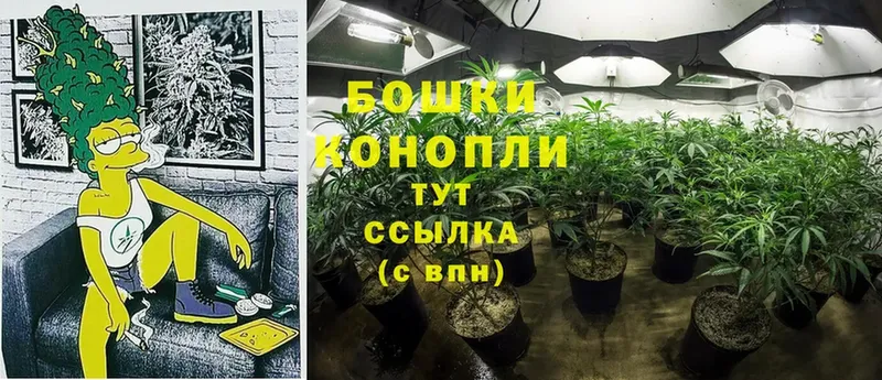 купить наркотики сайты  Тарко-Сале  кракен рабочий сайт  Бошки Шишки SATIVA & INDICA 